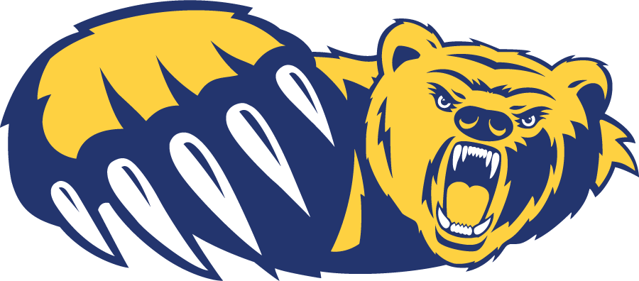 Northern Colorado Bears 2002-2004 Secondary Logo diy iron on heat transfer